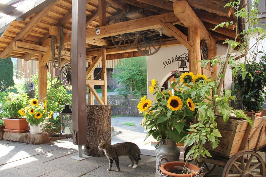 אלפירסבאך Landgasthof Untere Muehle מראה חיצוני תמונה
